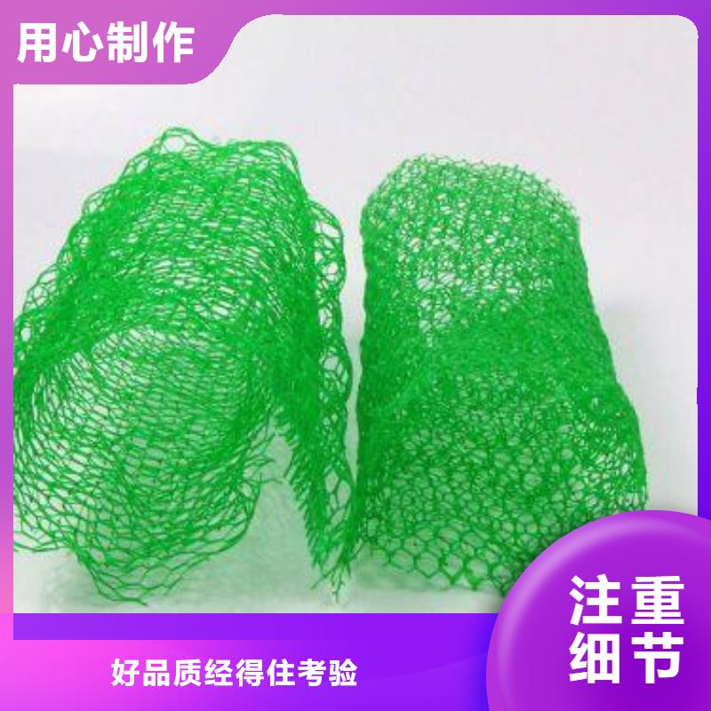 三維植被網土工布海量現貨