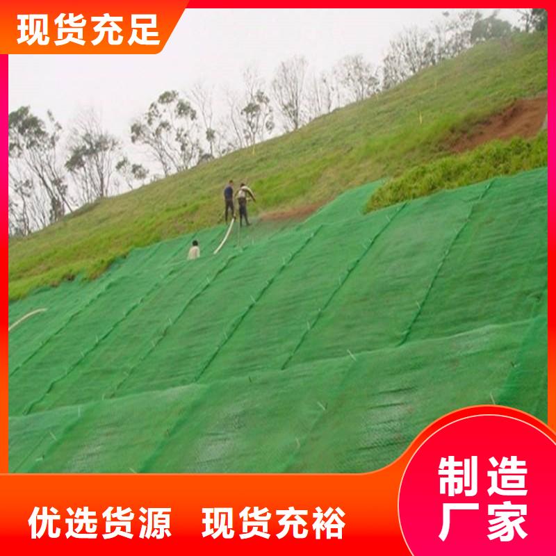 三維植被網鋼塑土工格柵支持貨到付清