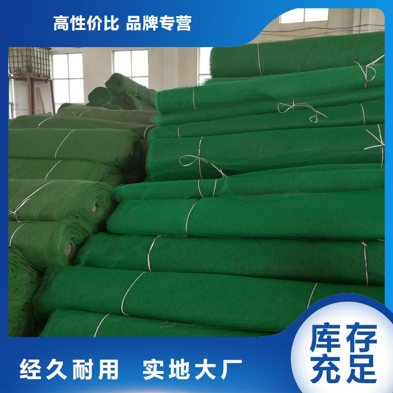 三維植被網鋼塑土工格柵支持貨到付清