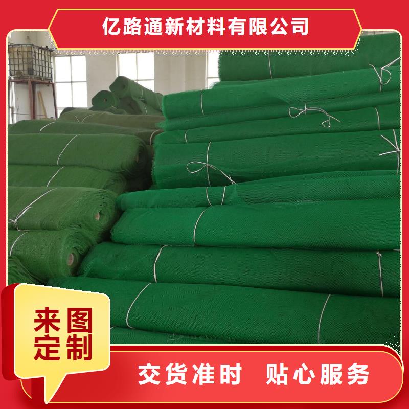 三維植被網玻纖土工格柵匠心制造