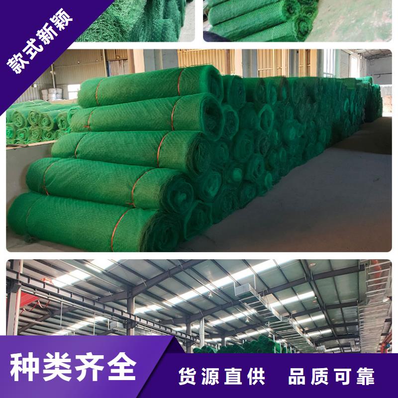 三維植被網玻纖土工格柵匠心制造