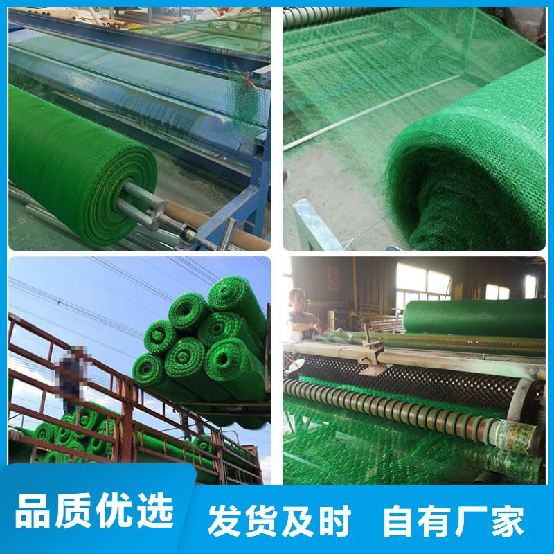 三維植被網土工布海量現貨