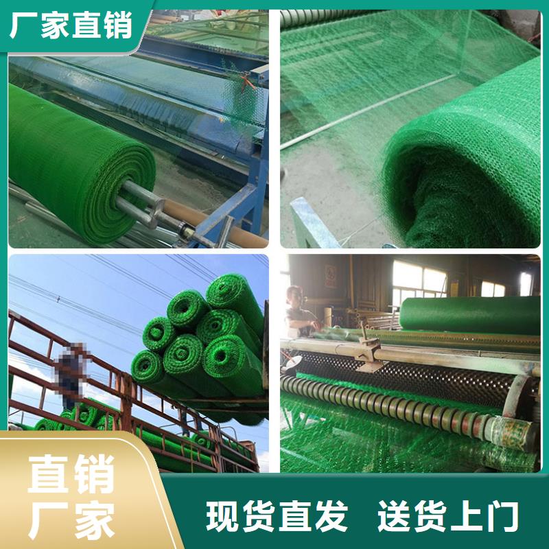 三維植被網玻纖土工格柵匠心制造