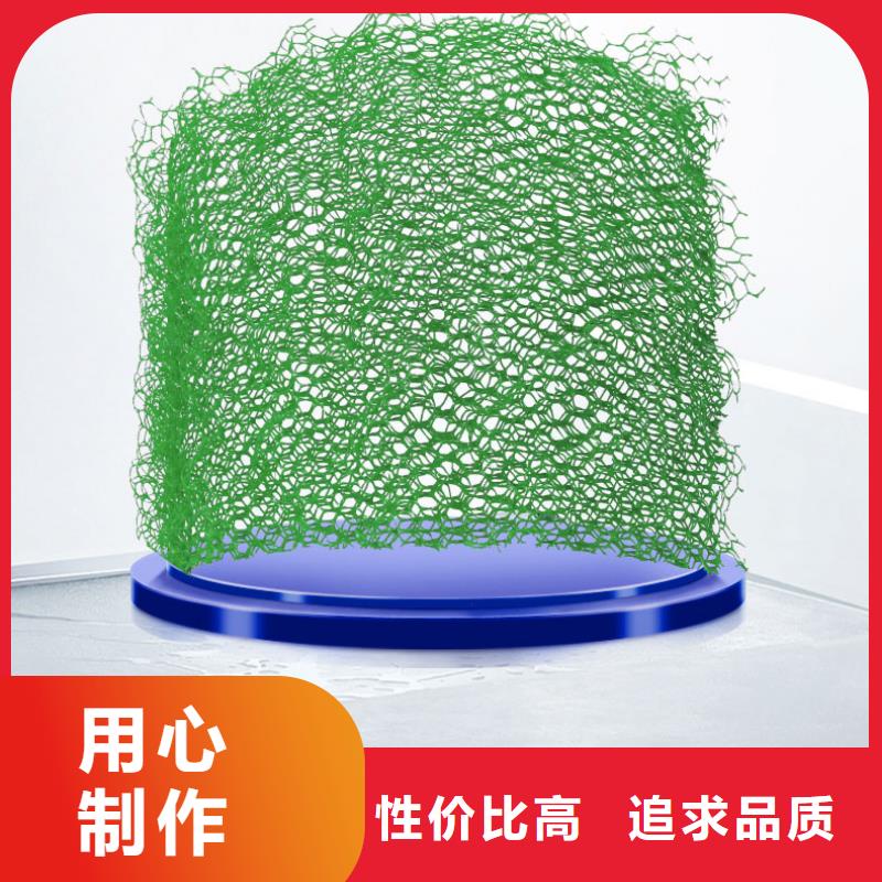 三維植被網(wǎng)土工布海量現(xiàn)貨