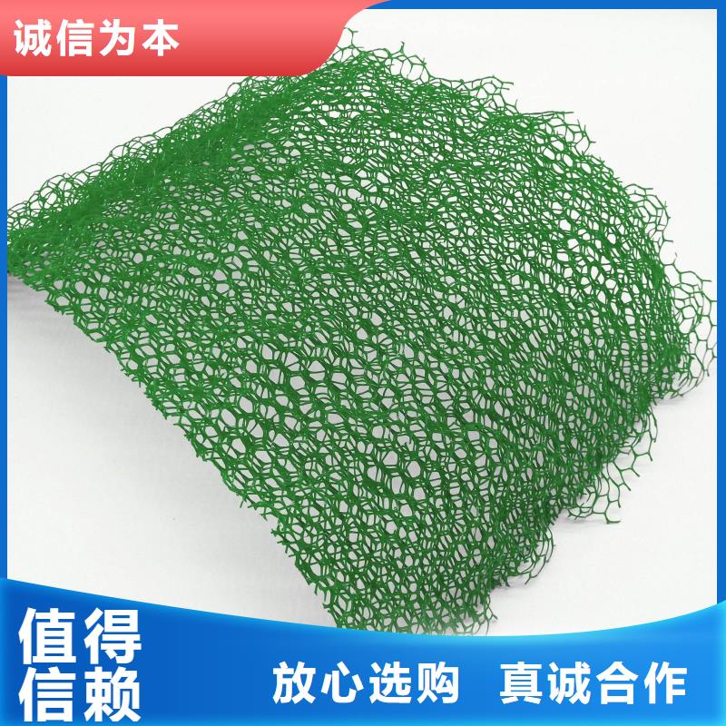 三維植被網鋼塑土工格柵支持貨到付清