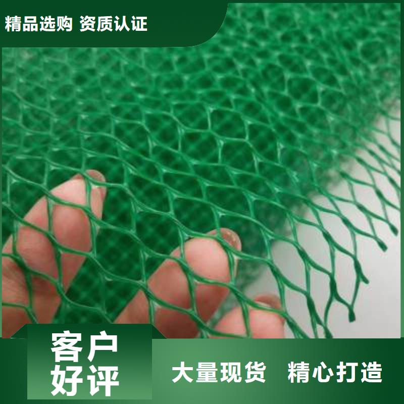 三維植被網土工布海量現貨