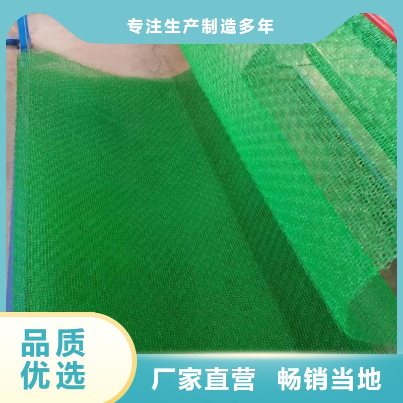 三維植被網玻纖土工格柵匠心制造