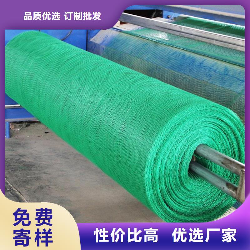 三維植被網土工布海量現貨