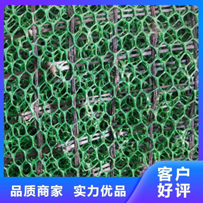 三維植被網雙向塑料土工格柵可接急單