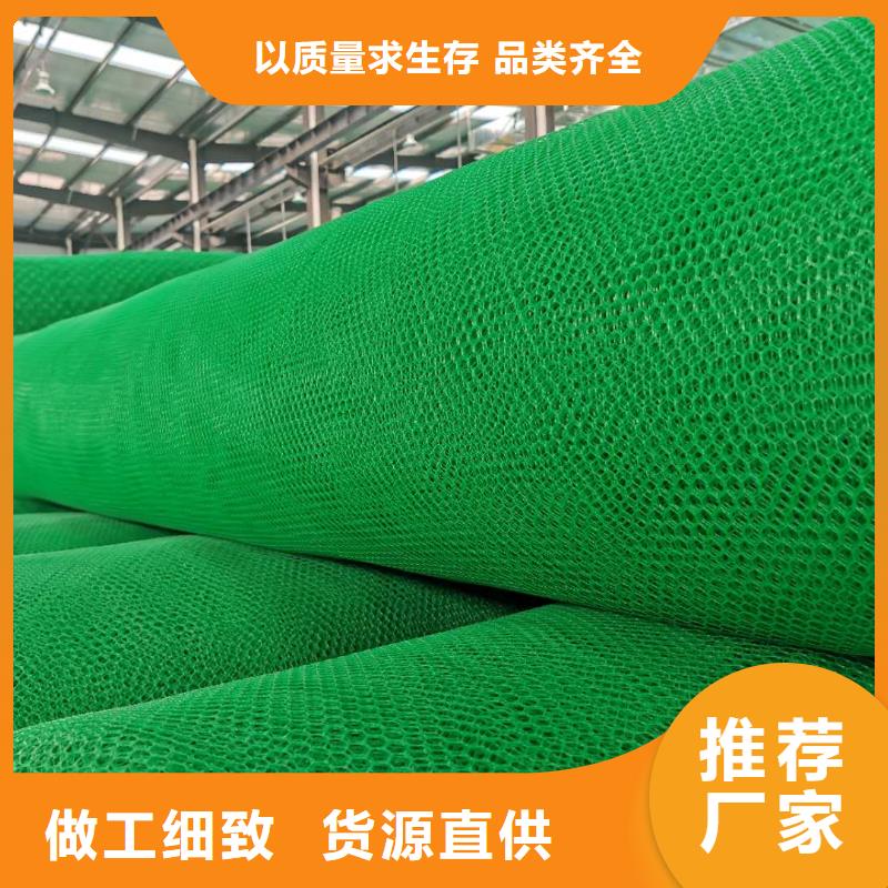三維植被網_土工格室認準大品牌廠家