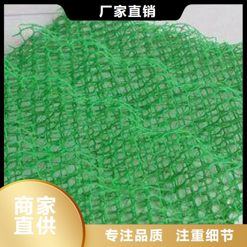 三维植被网玻纤土工格栅定制销售售后为一体