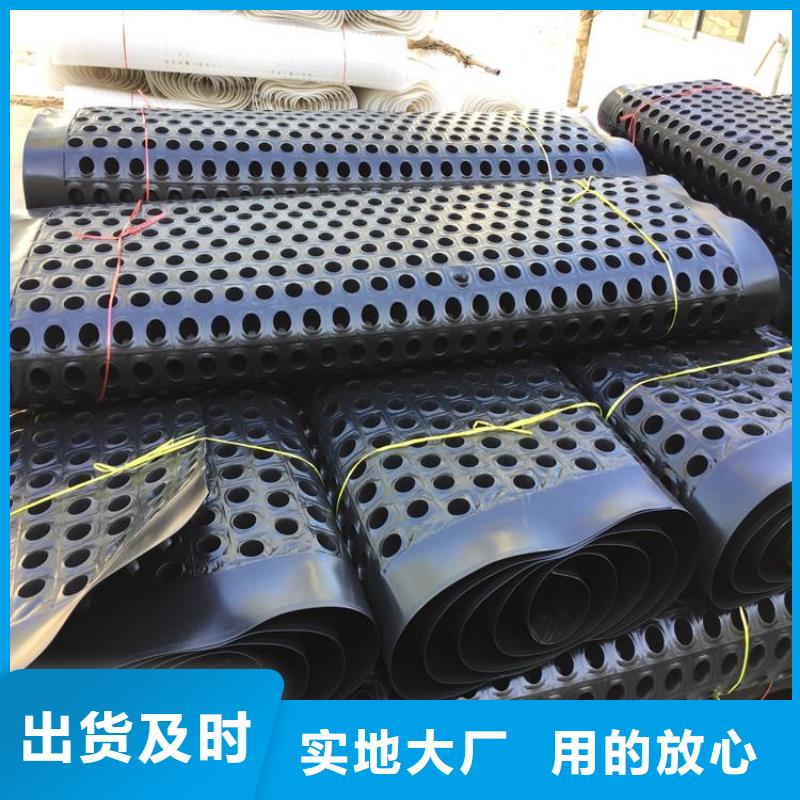 塑料排水板雙向土工格柵當(dāng)日價格