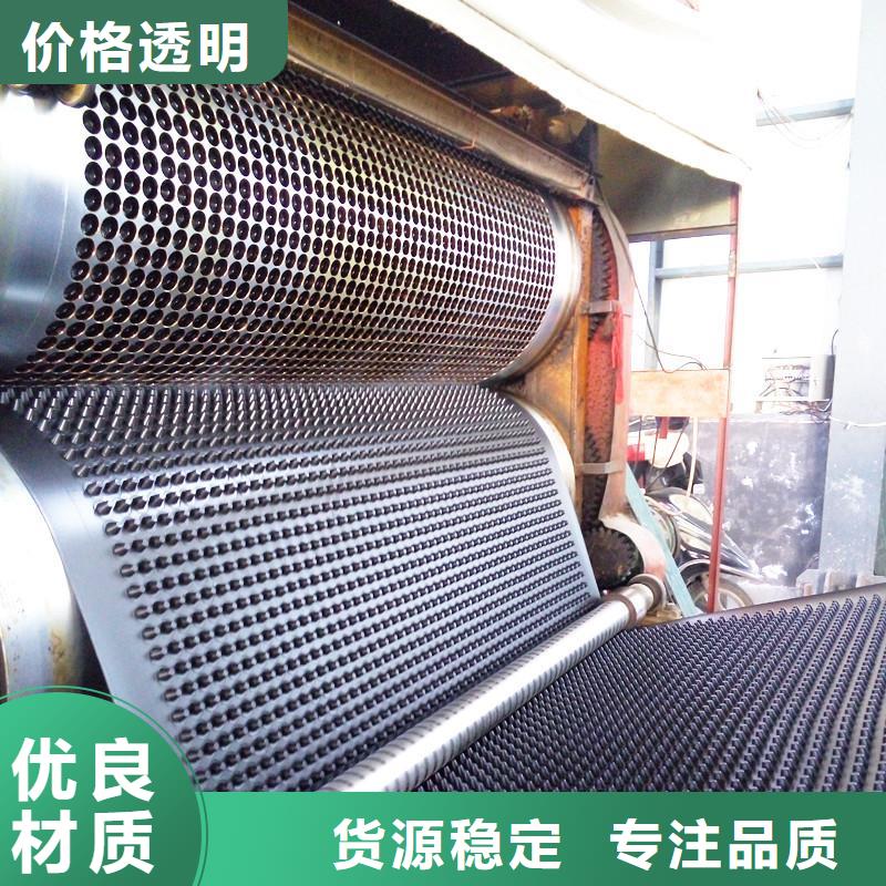 塑料排水板護(hù)坡土工網(wǎng)貨品齊全