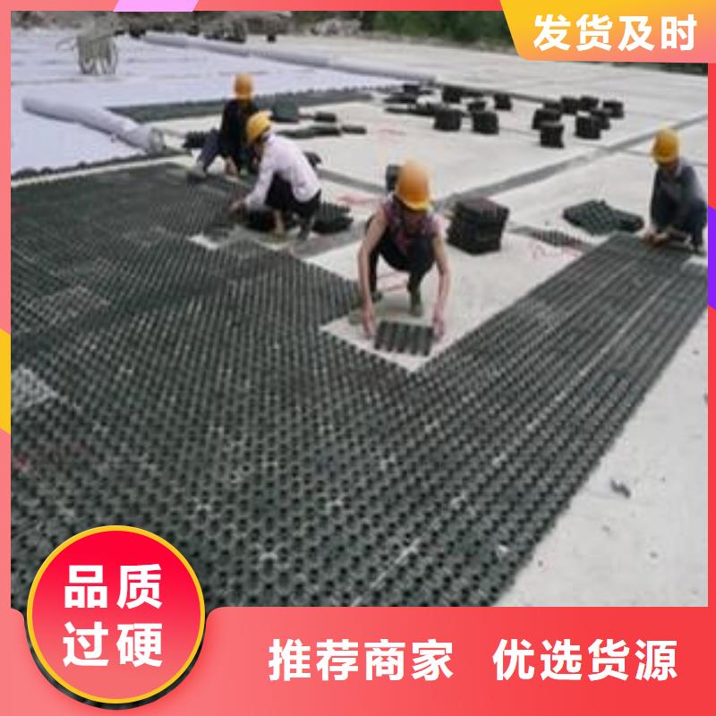 塑料排水板玻纖土工格柵按需定制