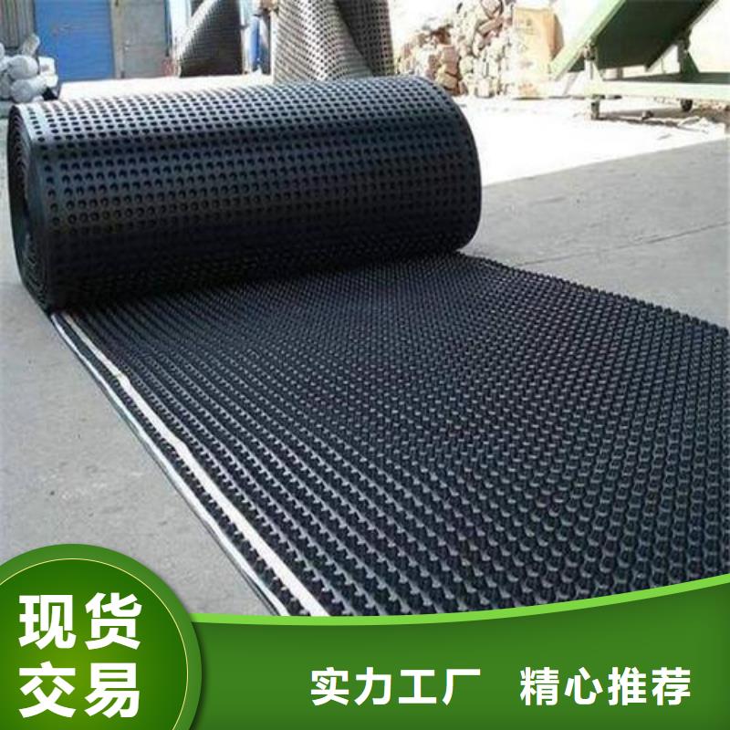 塑料排水板雙向土工格柵當(dāng)日價格