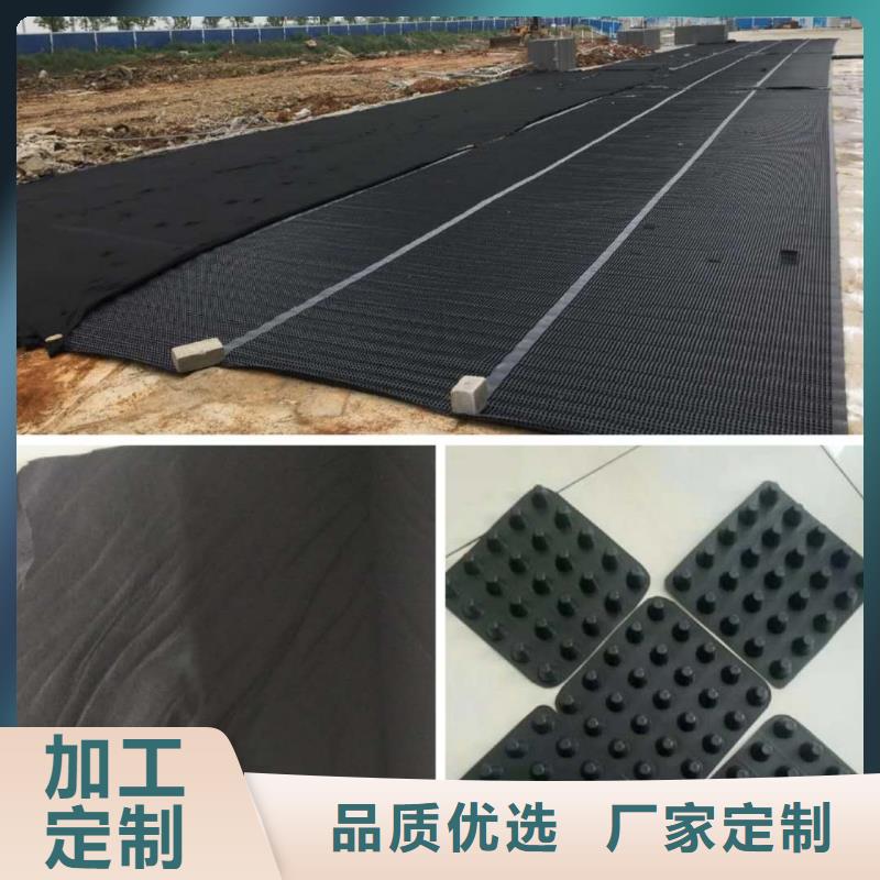 打造行业品质(亿路通)塑料排水板双向土工格栅支持加工定制