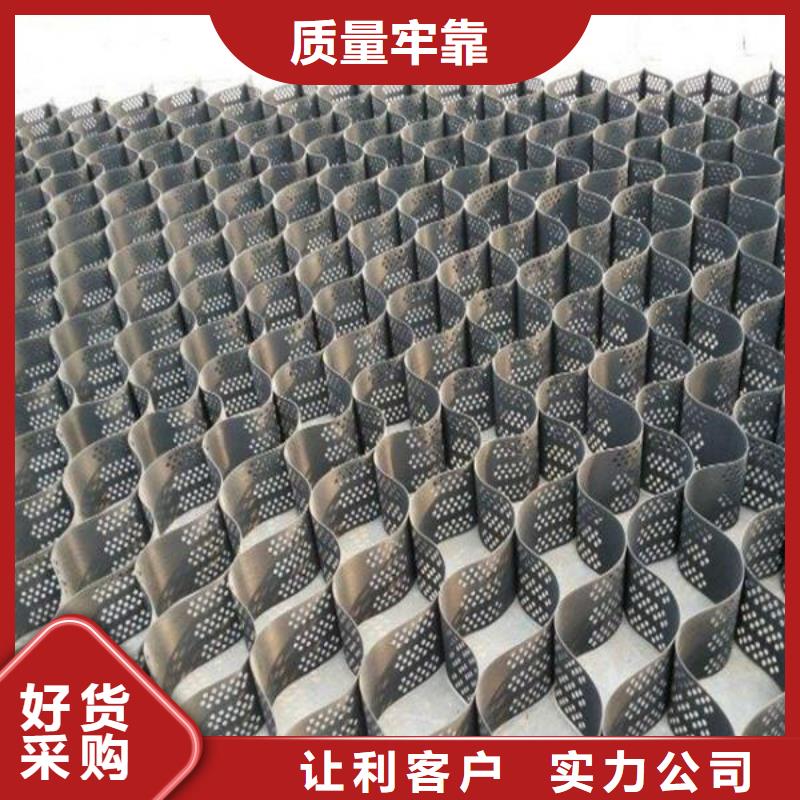 土工格室三維土工網墊產品細節