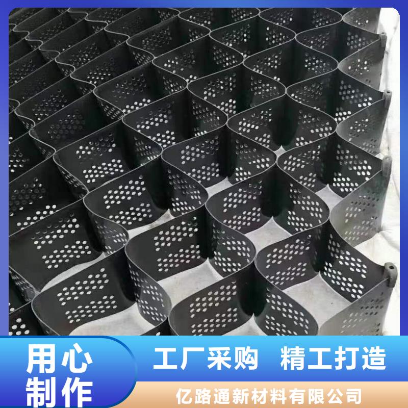 土工格室三維土工網(wǎng)墊產(chǎn)品細(xì)節(jié)
