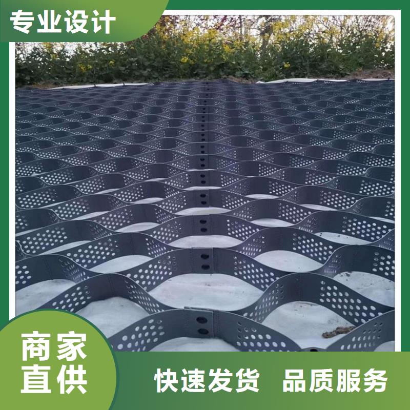 土工格室三維土工網(wǎng)墊產(chǎn)品細(xì)節(jié)