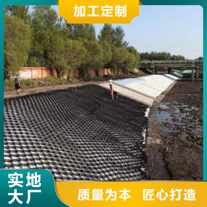 土工格室三維土工網墊產品細節