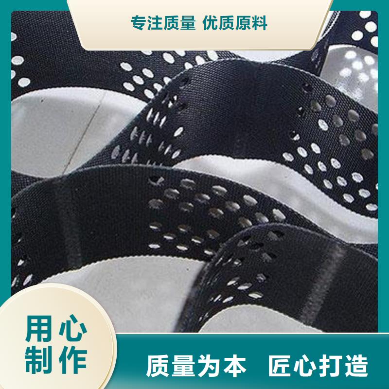 土工格室玻纖土工格柵真正的源頭廠家