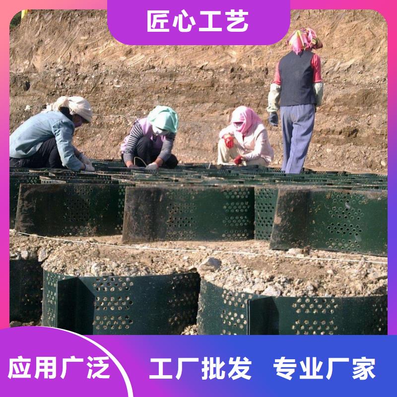 土工格室鋼塑土工格柵值得買
