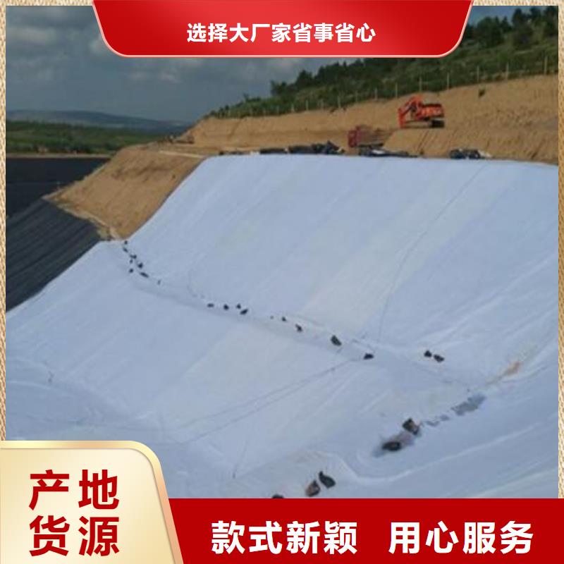 三維復合排水網凸結點鋼塑土工格柵品類齊全