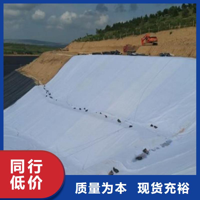 三維復合排水網凸結點鋼塑土工格柵品類齊全