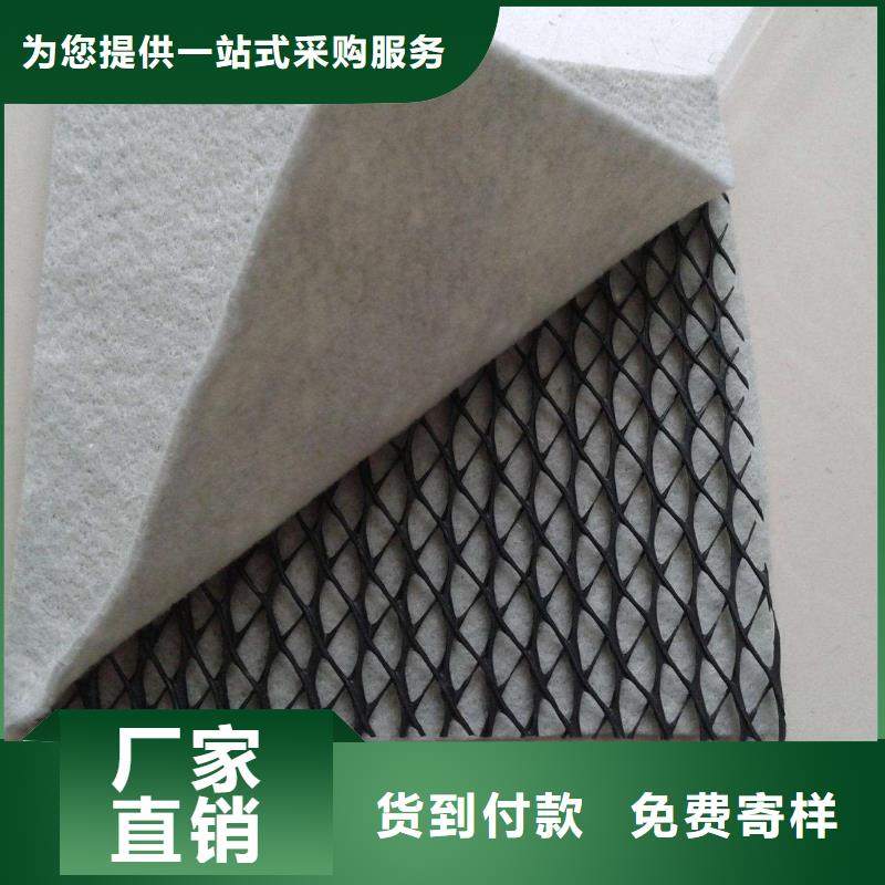 三維復合排水網凸結點鋼塑土工格柵品類齊全