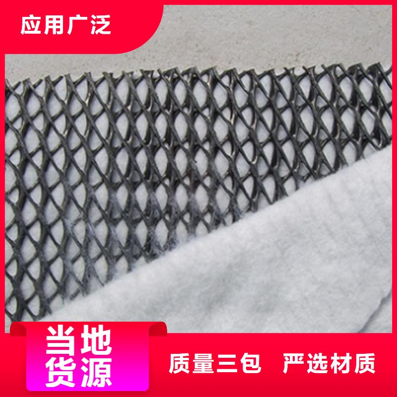 三維復合排水網凸結點鋼塑土工格柵品類齊全