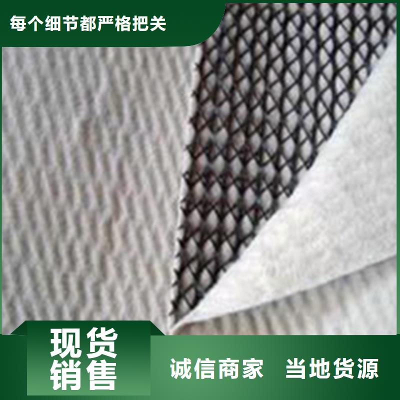 采购(亿路通)三维复合排水网钢塑土工格栅多种规格可选