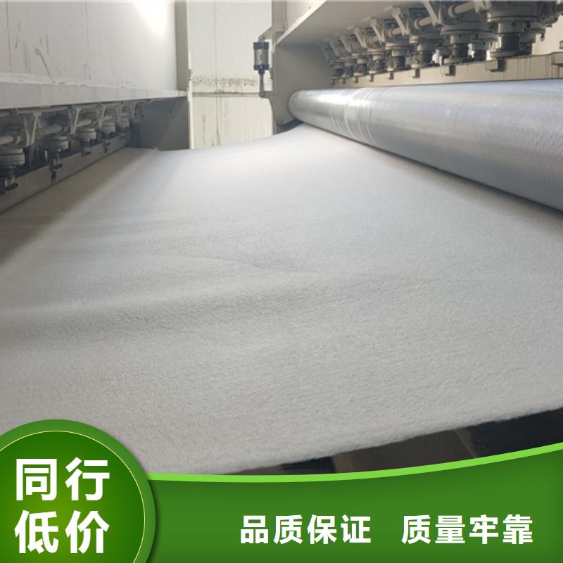 选购【中齐】短丝土工布生产厂家长丝土工布价格