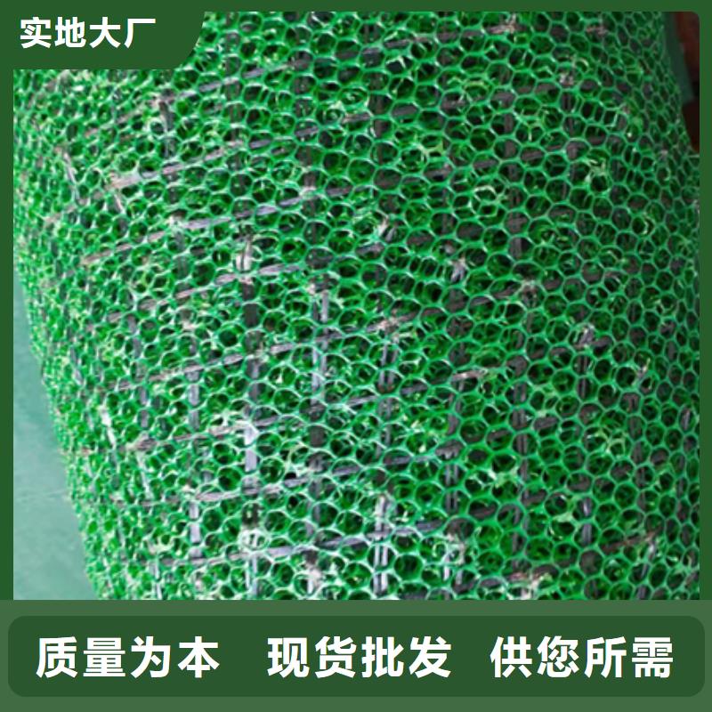 三維植被網_鋼塑土工格柵品質保證實力見證