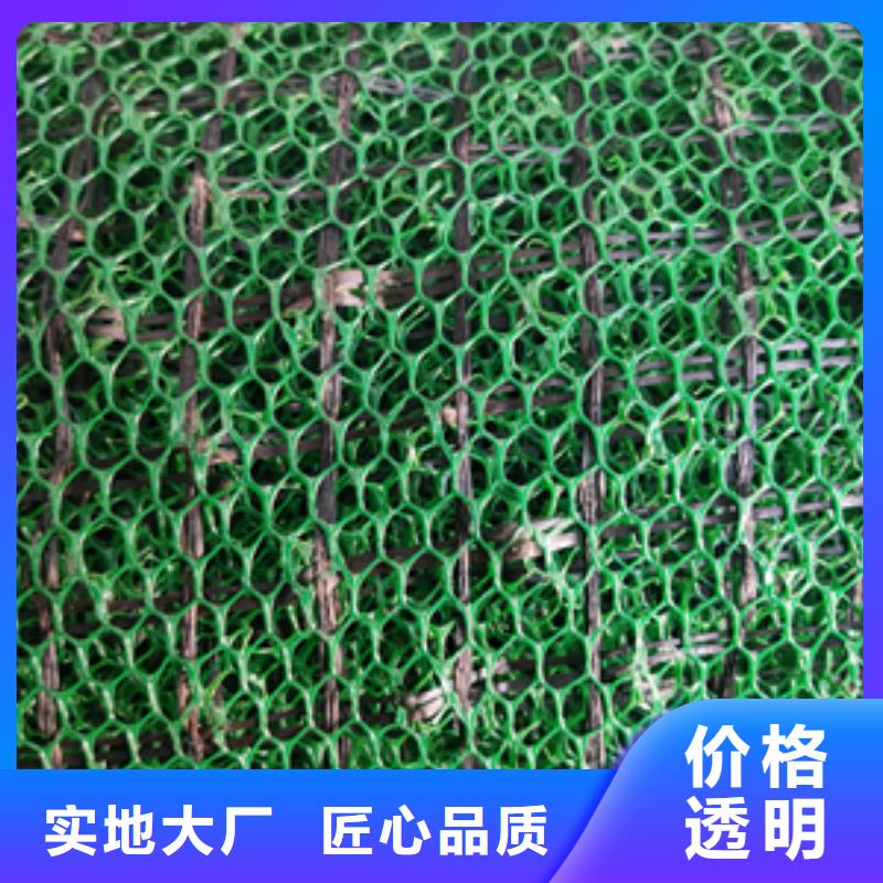 三維植被網鋼塑土工格柵品質卓越