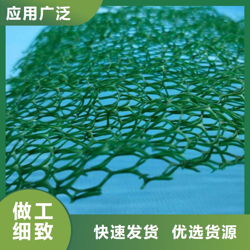 三維植被網玻纖土工格柵工廠采購