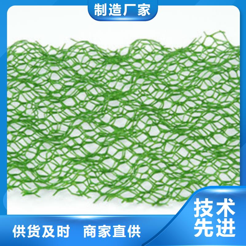 三维植被网土工HDPE膜专业生产厂家