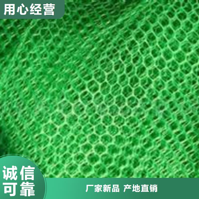 定制【中齐】三维植被网厂家三维植被网垫价格生产厂家