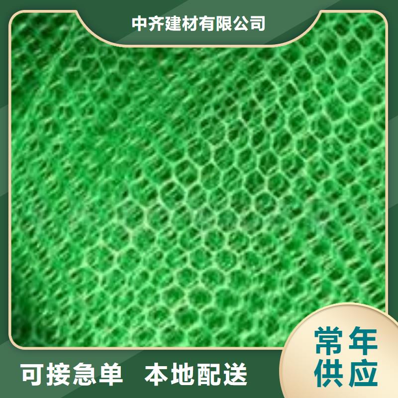 源厂定制《中齐》三维土工网垫厂家土工网垫价格生产基地