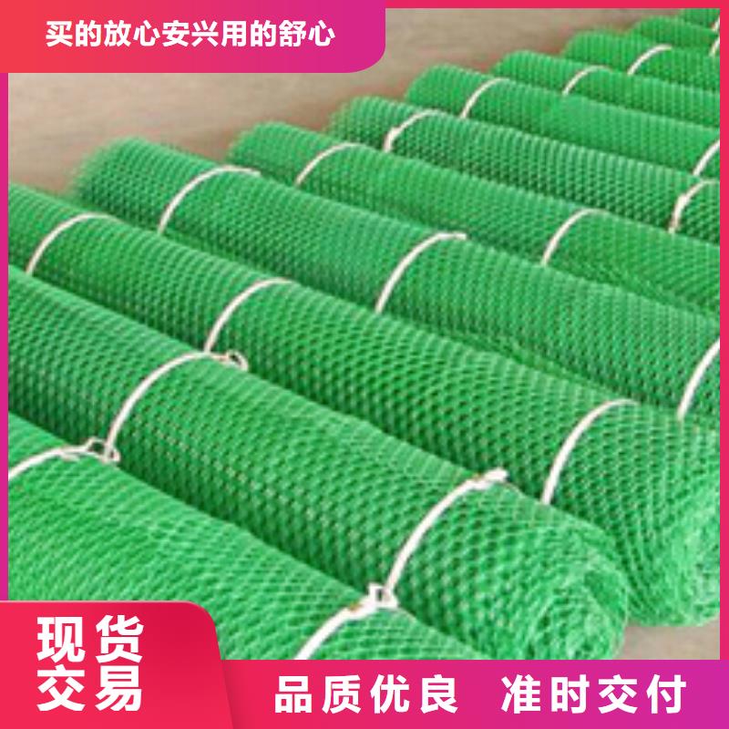 品种全<中齐>三维植被网厂家三维网垫价格生产基地