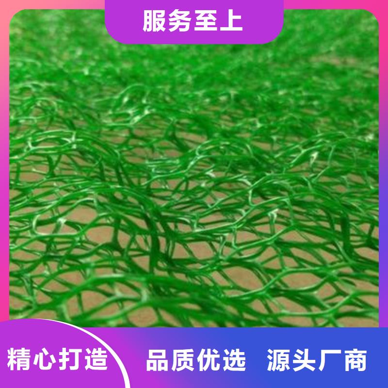 资质认证【中齐】三维土工网垫厂家绿化植草网价格厂家直销