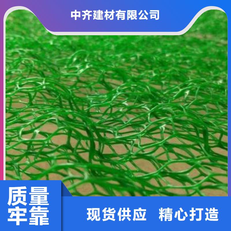 定制【中齐】三维植被网厂家三维植被网垫价格生产厂家
