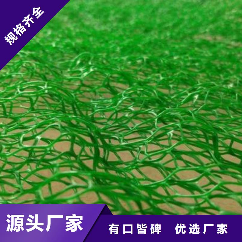 专业生产团队《中齐》三维植被网单向塑料格栅型号齐全