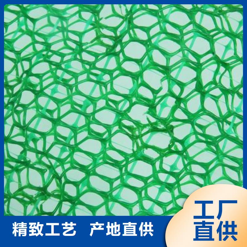 【中齐】定安县EM3三维植被网价格土工网垫价格生产厂家