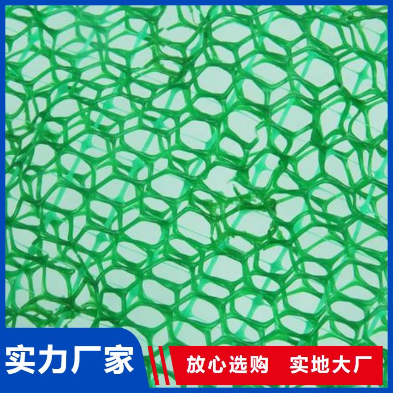【中齐】万宁市三维植被网厂家三维网垫价格生产基地