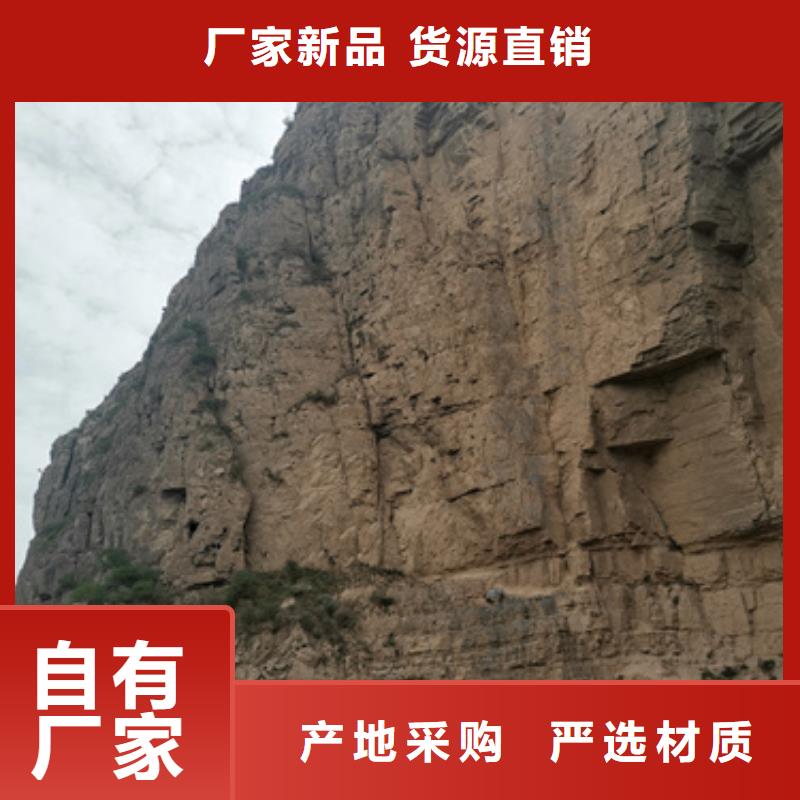 發電機租賃口碑好