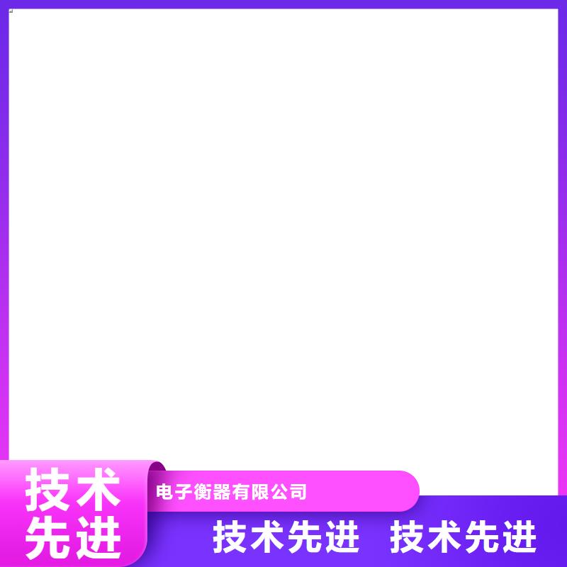 電子皮帶秤鏟車秤用心服務