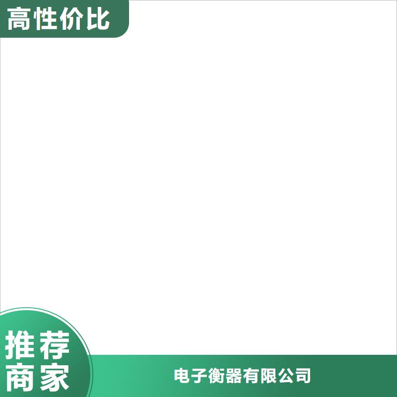 電子皮帶秤鏟車秤用心服務