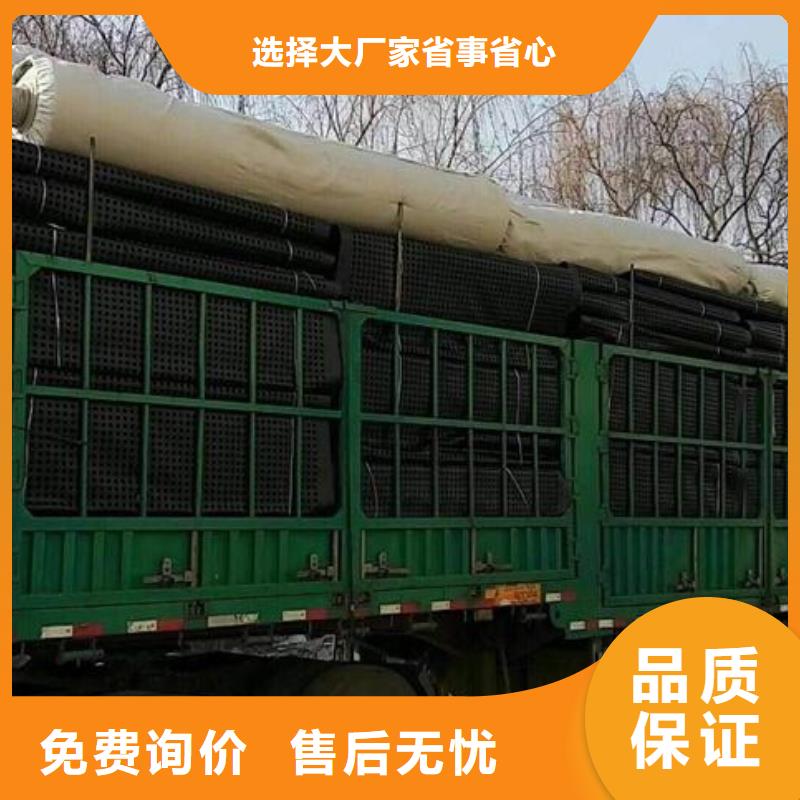 鋼塑土工格柵膨潤土防水墊細節展示