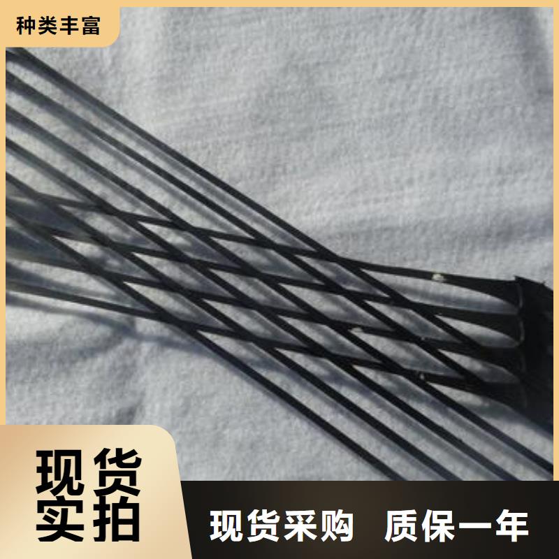 單向拉伸塑料格柵護坡土工網專業的生產廠家