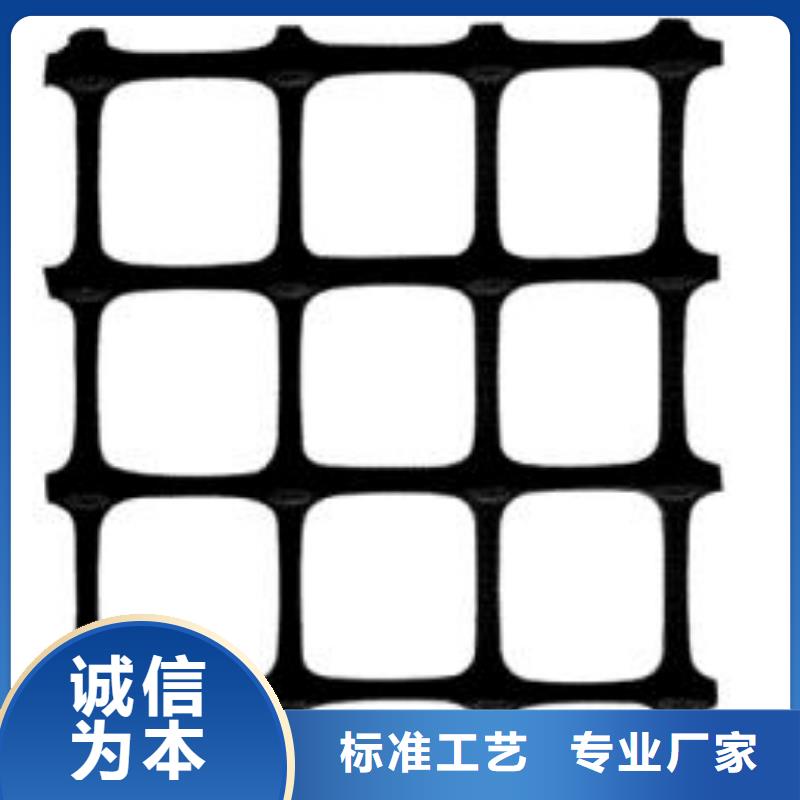 雙向塑料土工格柵-土工席墊隨到隨提